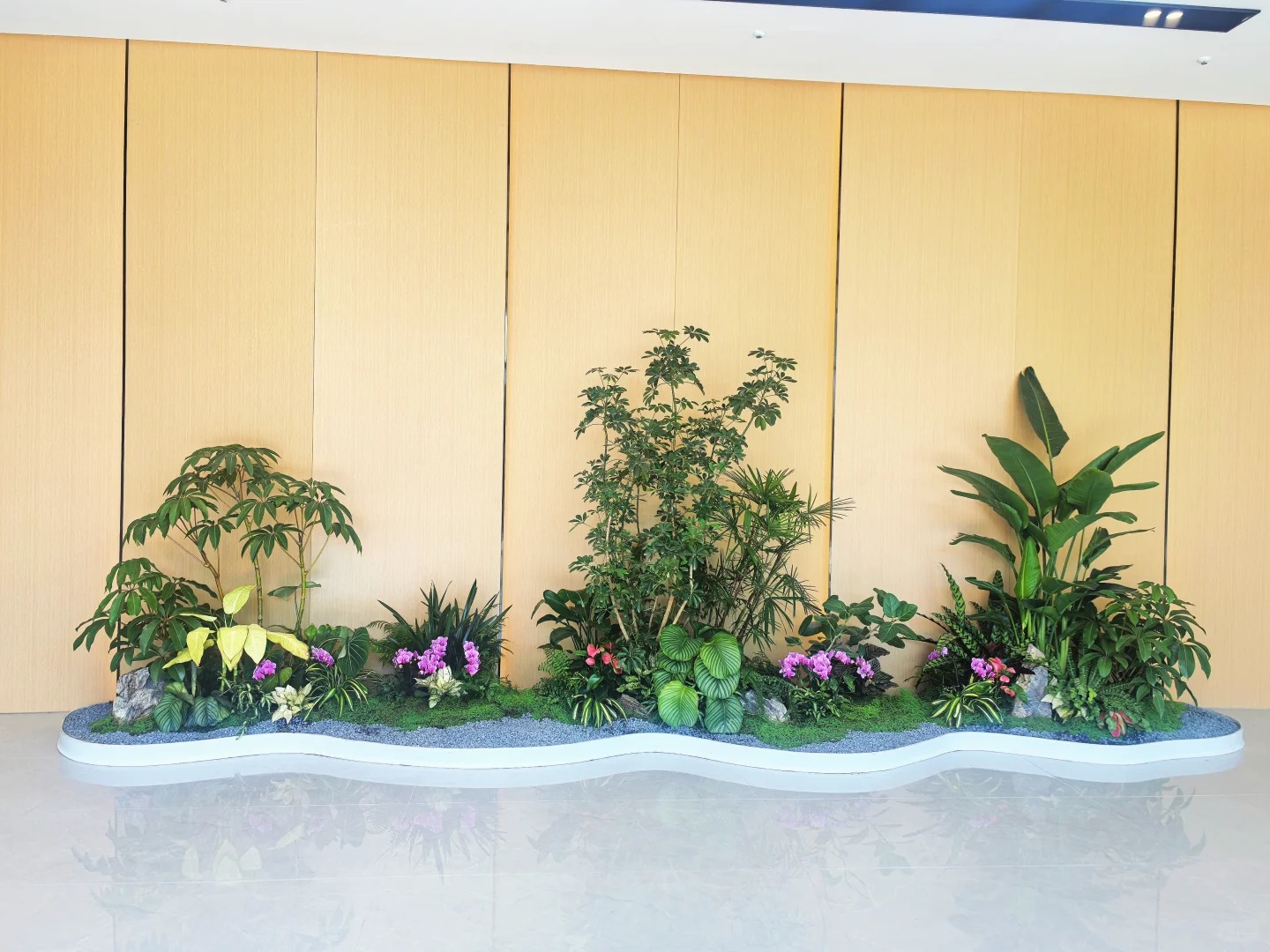 了解余姚花木租摆方案，畅享绿色舒适的工作环境