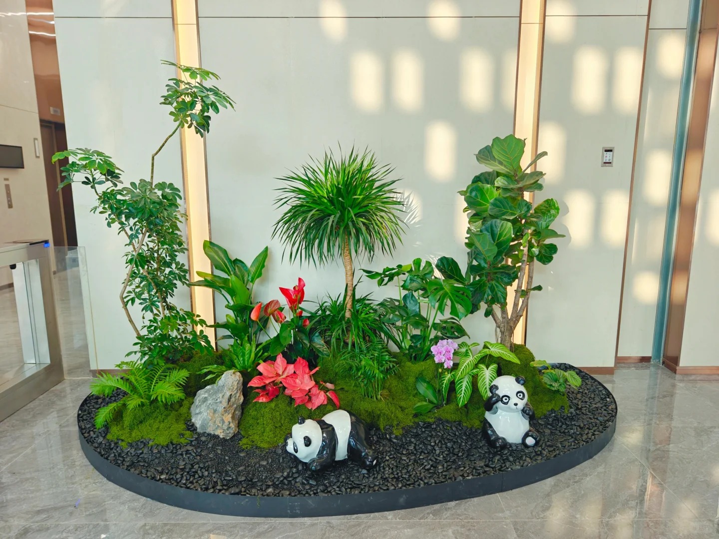 专业植物出租，让宁波奉化焕发生机与活力