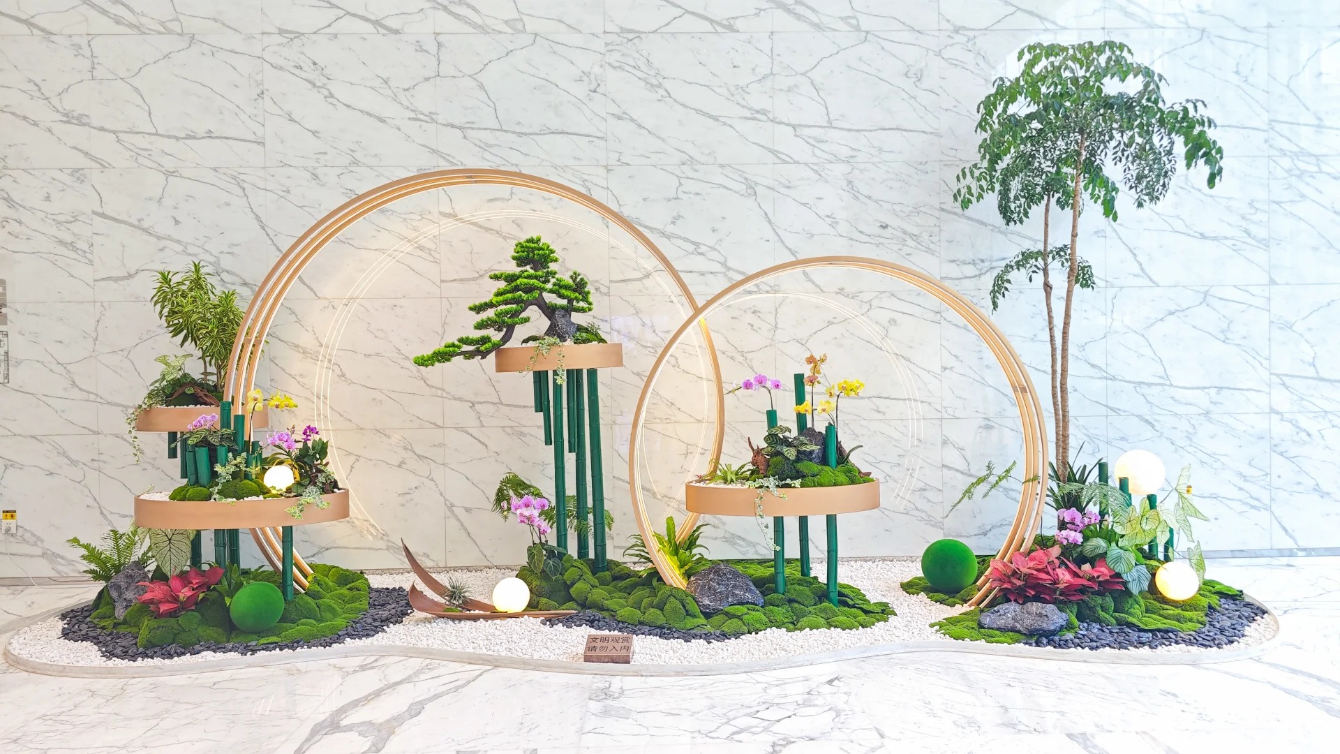 了解宁波杭州湾植物出租，焕新您的空间环境